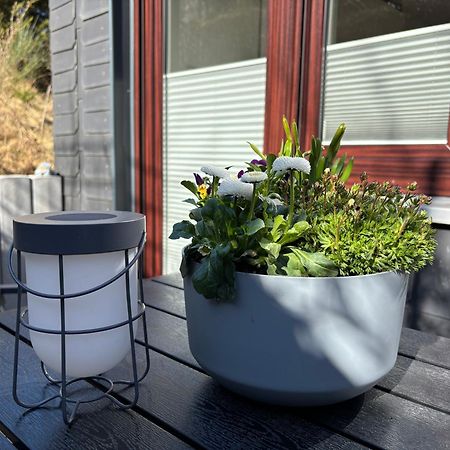 Dein Winterberg Apartment - Wifi Geschirrspueler Smart Tv الغرفة الصورة